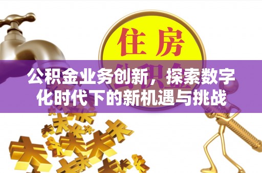 掇刀公积金业务创新，探索数字化时代下的新机遇与挑战