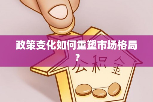 掇刀政策变化如何重塑市场格局？