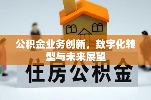 掇刀公积金业务创新，数字化转型与未来展望