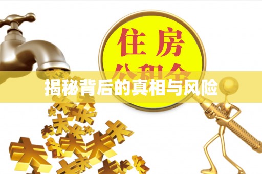 掇刀揭秘背后的真相与风险