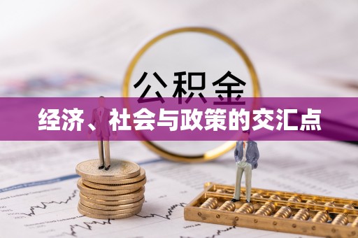 掇刀经济、社会与政策的交汇点