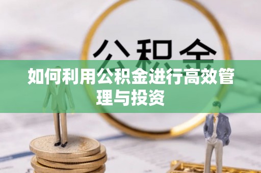 掇刀如何利用公积金进行高效管理与投资
